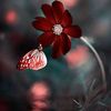 user892011802