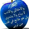 hicham.fadoul