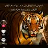 user7674201681666