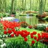 nature love