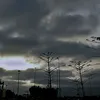 jawharaelradi