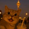 hananeh_hamedy