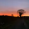 notdanielle146