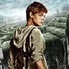 newt._.runner