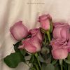 mennaahmed7122