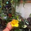vida.con.plantas