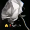 user32220516120671