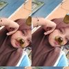 littlegirls_373