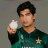 cricketlover1p