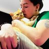 topsypets