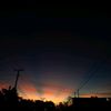 zyn_9929