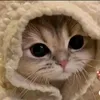 minh_ngcz