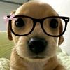 dariana0026