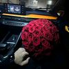 lucufer_luk77