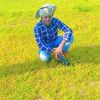 user3074343298018