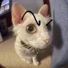 lbttamtutinh