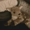 zaricakez