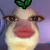 aeri_hayami