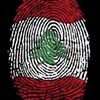 marmourah..313