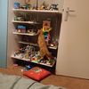 lieke.de.dwerg
