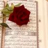 سـي جَيـــــــّ🫶🦎