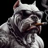 pitbull8178