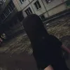 leraqq7