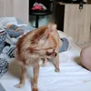 nikolcheee5