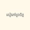 សៀវភៅដួងចិត្ត
