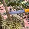 hniedurian