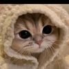 nur4love0