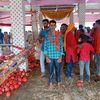 yadavji.12331