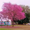 alex_argen