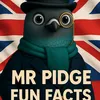 professorpidge