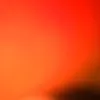 nor____978