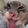 ng_trduc07
