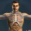 MedVision