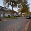 ediespencer_backup01