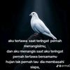 al_mar_toko.07
