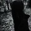 rr_e541
