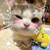 kitty8229299