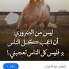 user2881142477617
