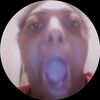 shannonsleftnut