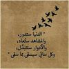 user88488229279430