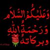 aishaleila10