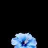 user4567.priv