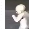 teoelteito
