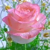 user1616941811038
