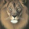 aslan.asln15