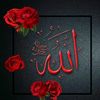 aimanmohawesh
